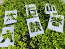 速转！壶关太行山大峡谷绕行线路指南，建议收藏备用