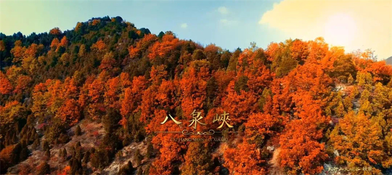 微信图片_20211102163056.jpg