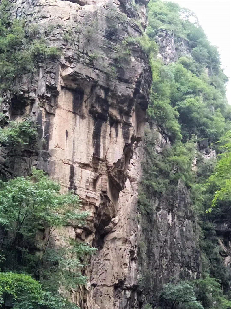 微信图片_20211217115606.jpg