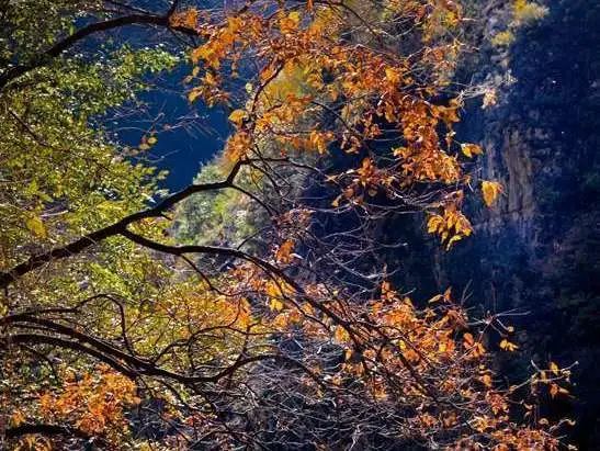 1665818630107015.jpg 微信图片_20221015152203.jpg