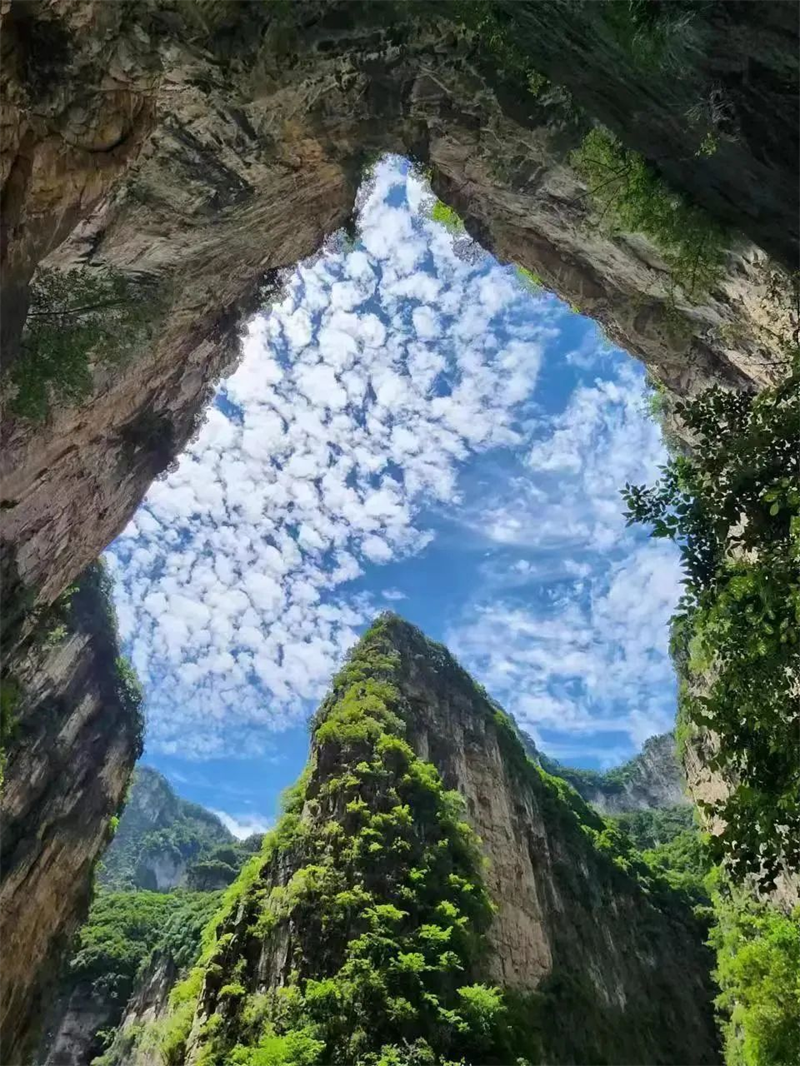 微信图片_20231206162844.png