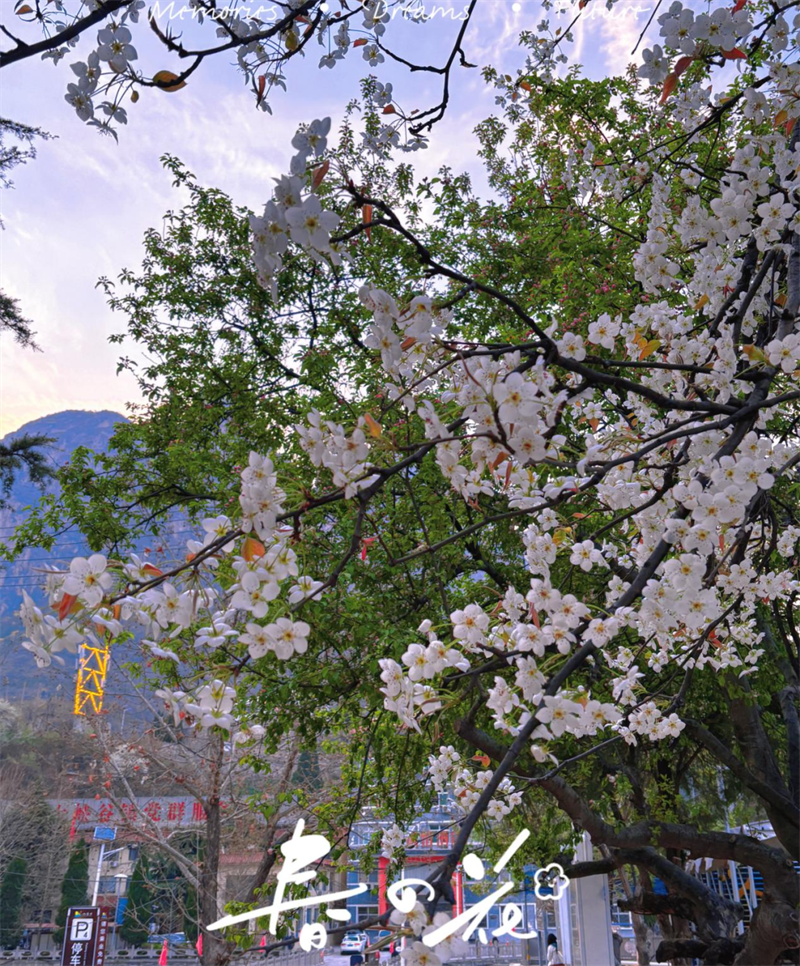 微信图片_20240430154604.png