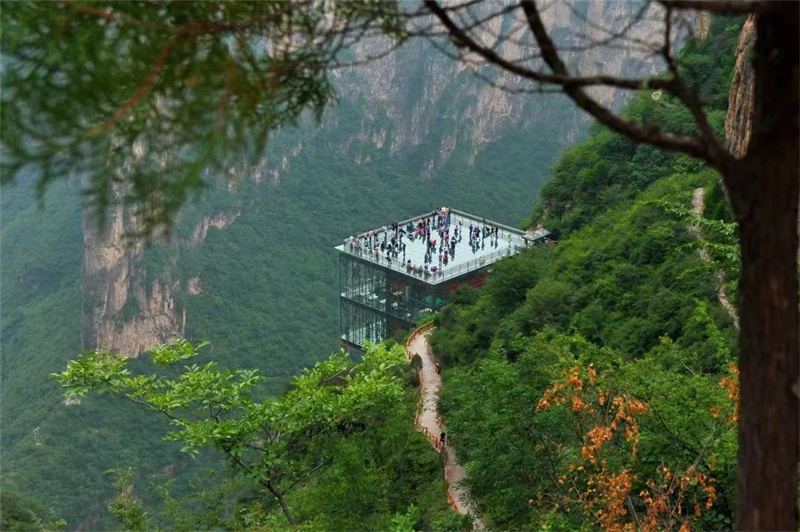 微信图片_20240810095311_副本.jpg