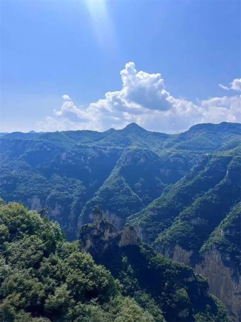 微信图片_20240822093526_副本.jpg