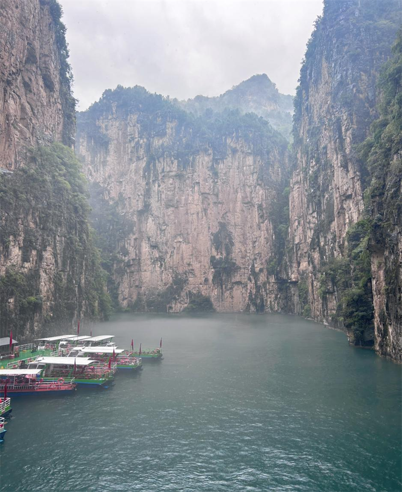 微信图片_20240910155228_副本.png