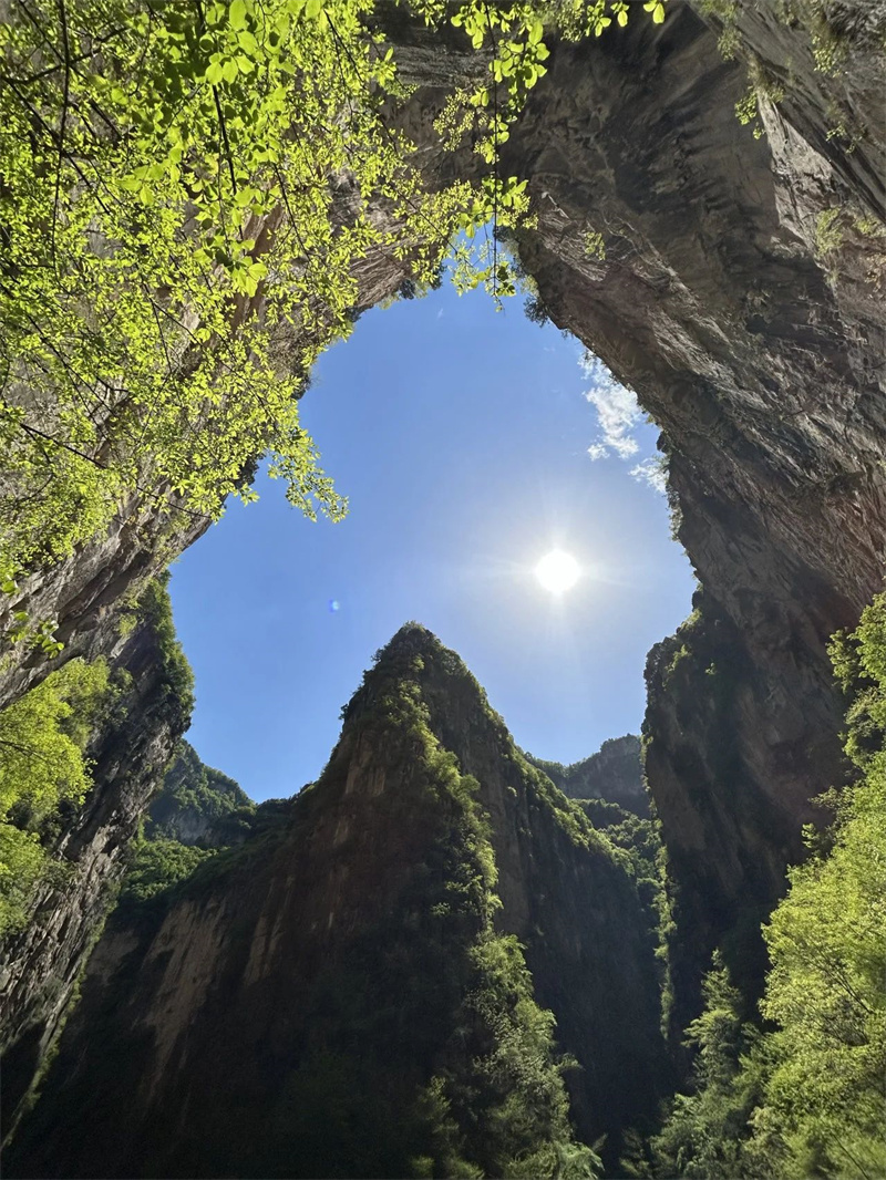 微信图片_20241012154003_副本.jpg