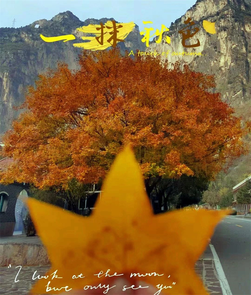 微信图片_20241013152511_副本.jpg