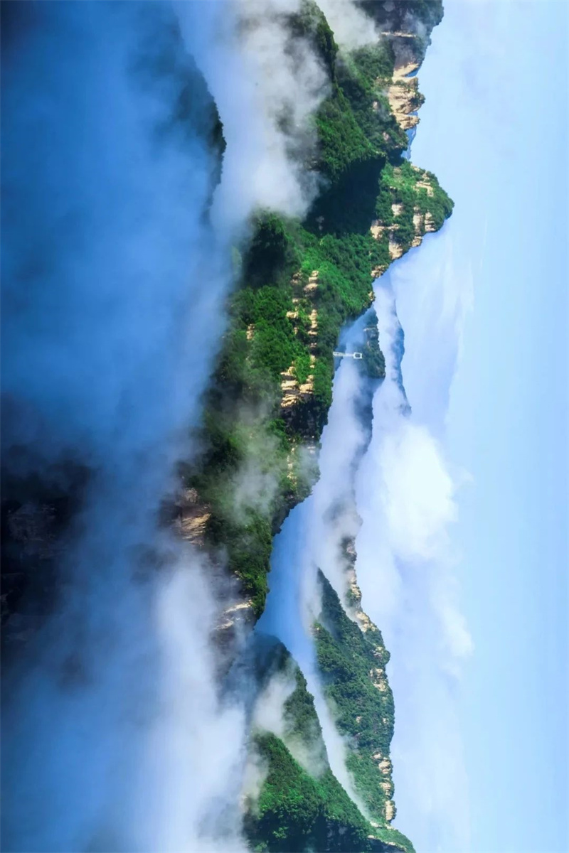 微信图片_20241201090819.jpg