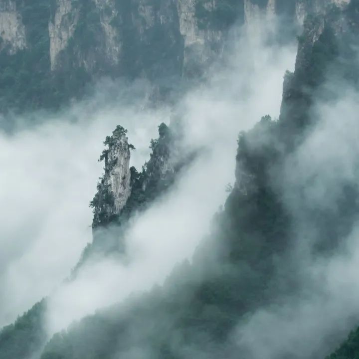 微信图片_20241210151507.jpg