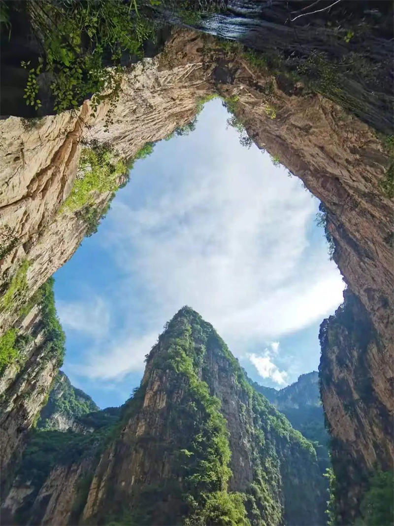 微信图片_20241210151515_副本.jpg