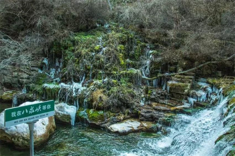 微信图片_20250125093903.jpg