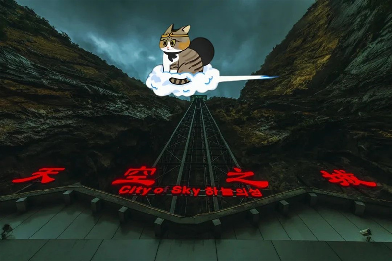 微信图片_20250525145817.jpg