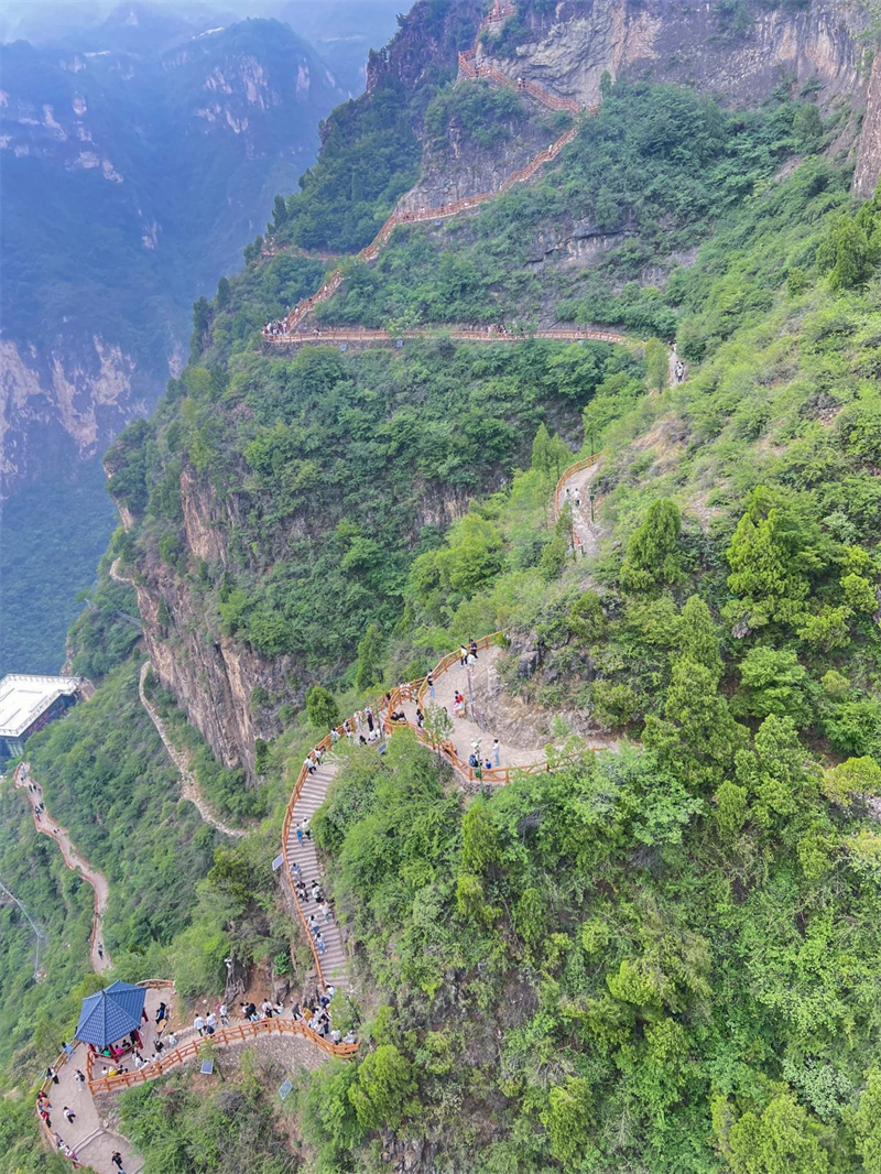 微信图片_20250602082540.jpg